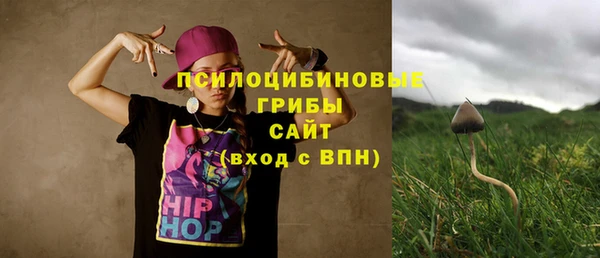 ГАЛЛЮЦИНОГЕННЫЕ ГРИБЫ Алексин