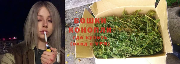 ГАЛЛЮЦИНОГЕННЫЕ ГРИБЫ Алексин