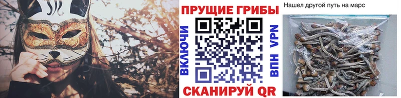 Псилоцибиновые грибы прущие грибы  наркота  hydra tor  Кемь 
