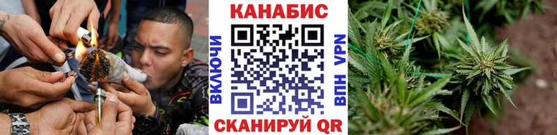 Бошки марихуана индика  Кемь 